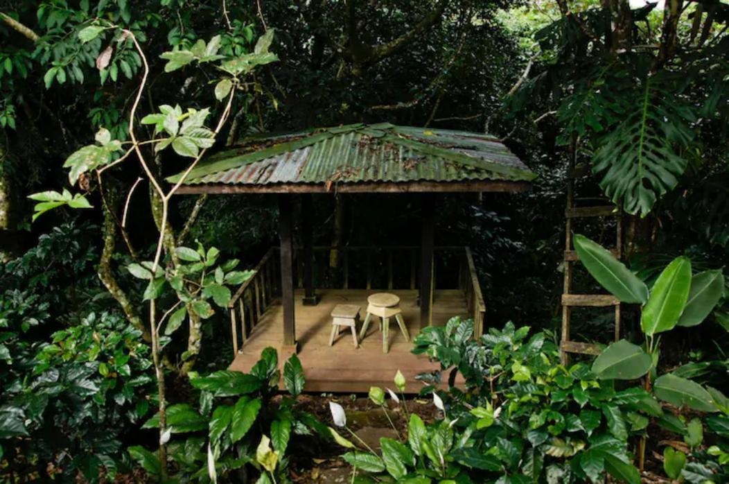 Coffee Garden Ranch Costa Rica Apartment Concepcion  Exterior photo
