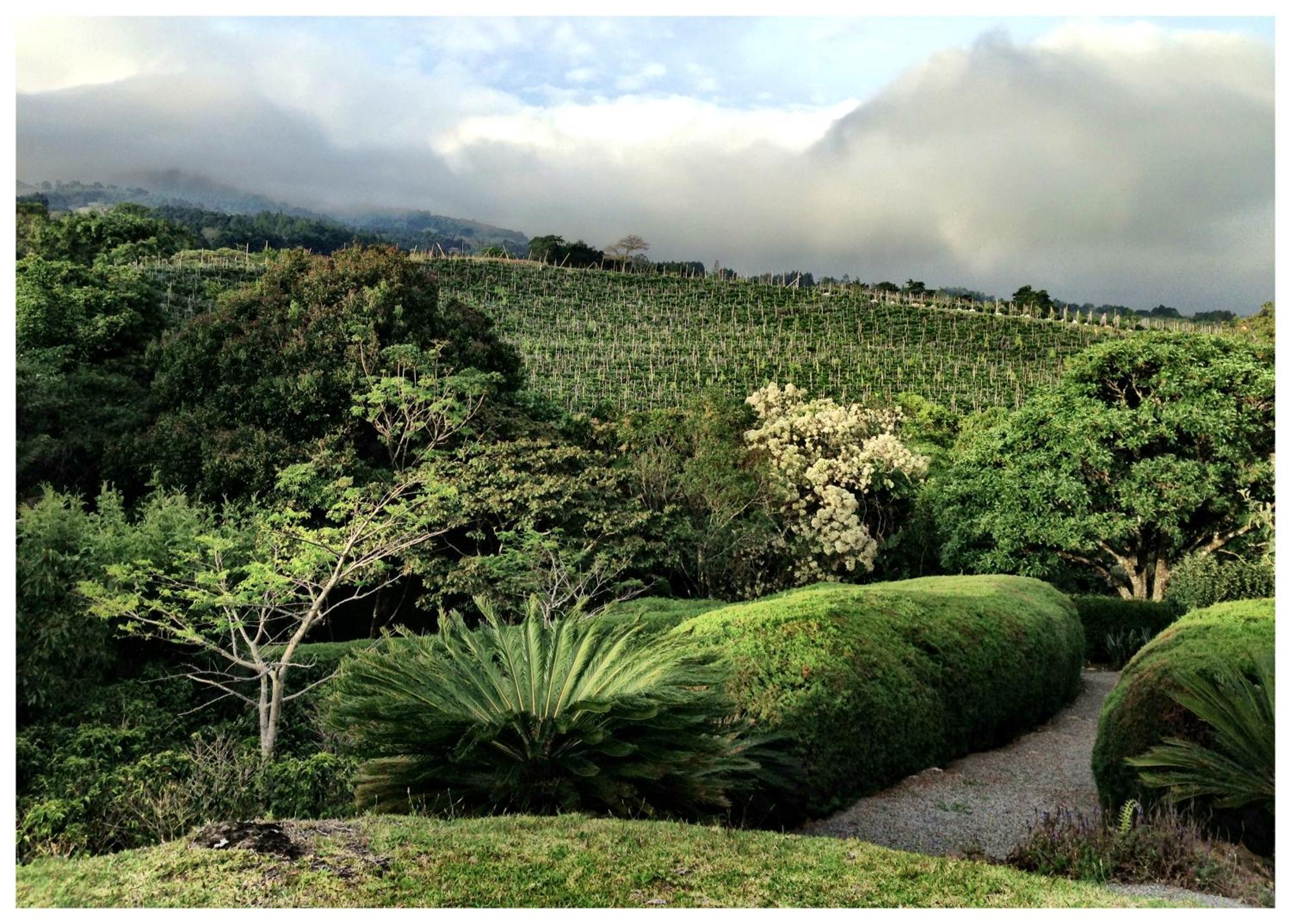 Coffee Garden Ranch Costa Rica Apartment Concepcion  Exterior photo